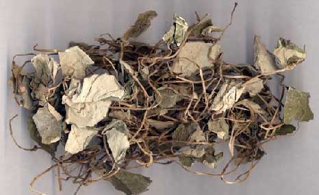 金钱草 - 全草类 - 哈尔滨药材站|哈尔滨中药饮片批发