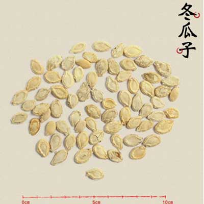 冬瓜子